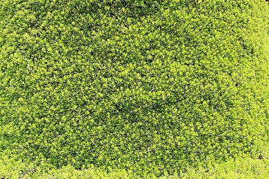 外太空模拟建造游戏《地壳》发售预告公布 7月15日抢先体验推出