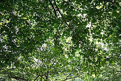 《暗黑4》S4赛季卡的没法玩？解决办法来了